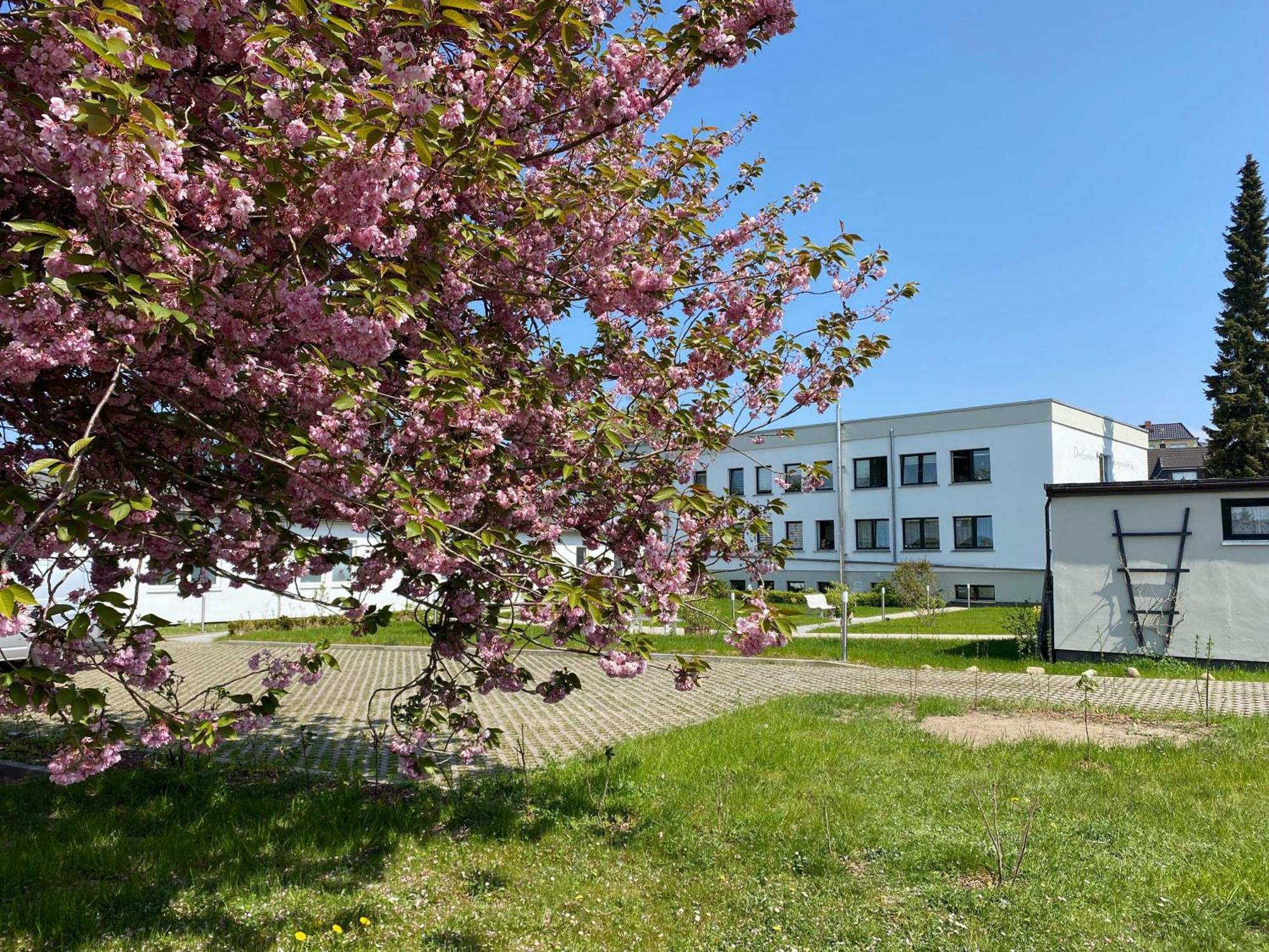 Apartment-Ferientiet Bergen Auf Rugen Esterno foto